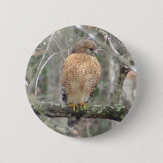 Red Tailed Hawk Bird Button (Voorkant)