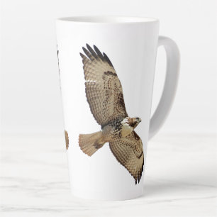 Red Tailed Hawk Bird Wildlife Animal Latte Mok