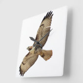 Red Tailed Hawk Bird Willife Animal Wall Clock Vierkante Klok (Hoek)