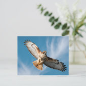 Red-tailed hawk briefkaart (Staand voorkant)