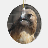 Red Tailed Hawk/Buzzard Ornament (Links)
