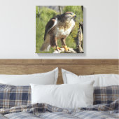 Red Tailed Hawk Canvas Afdruk (Insitu (Slaapkamer))