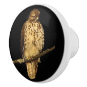 Red Tailed Hawk Ceramic Knob Keramische Knop (Rechts)