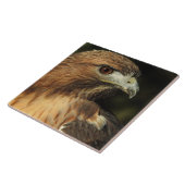 Red Tailed Hawk Ceramic Tile Tegeltje (Zijkant)