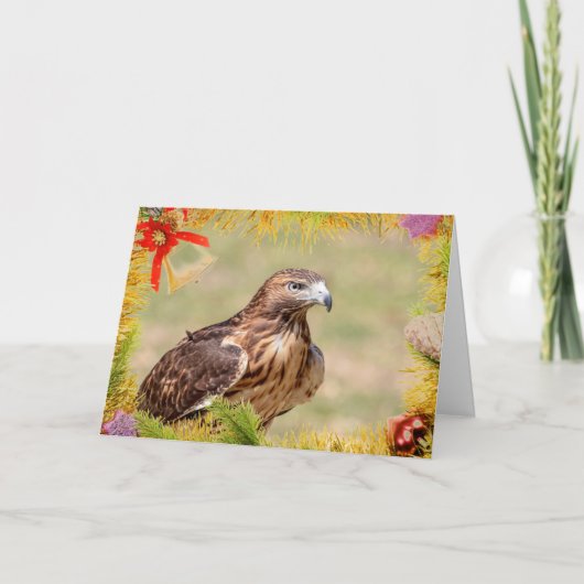 Red-Tailed Hawk Christmas Kaart (Voorkant)