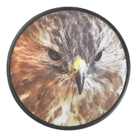 RED TAILED HAWK HOCKEY PUCK (Voorkant)