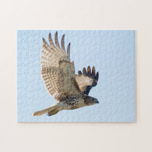 Red Tailed Hawk in fligh Legpuzzel