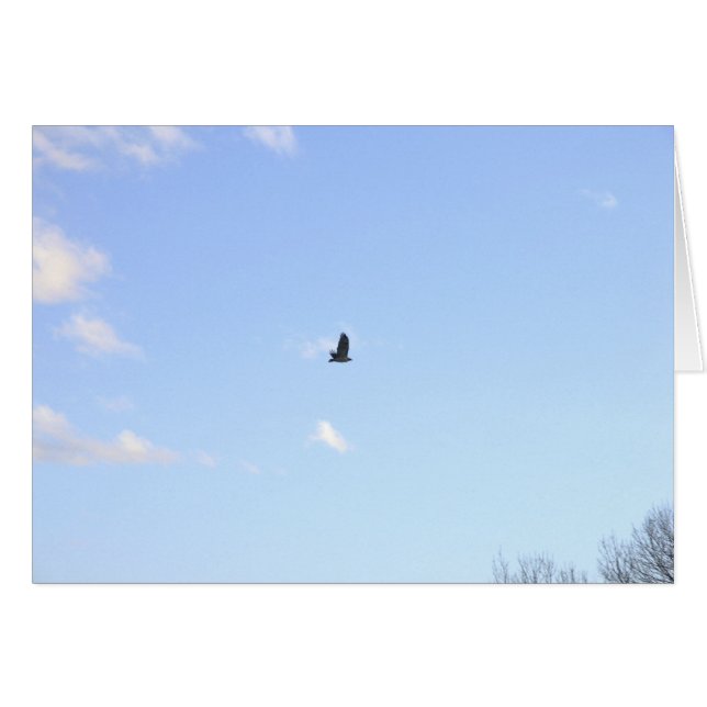 Red Tailed Hawk in Flight Card (Voorkant Horizontaal)