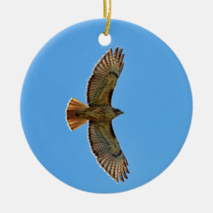 Red-Tailed Hawk in vlucht Keramisch Ornament