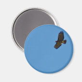 Red Tailed Hawk in vlucht Magneet (Voorkant / Achterkant)