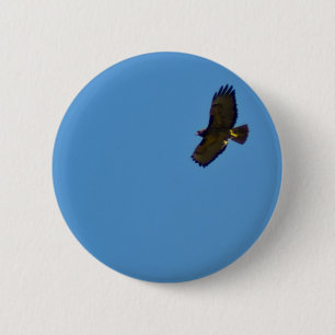 Red Tailed Hawk in vlucht Ronde Button 5,7 Cm