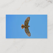 Red-Tailed Hawk in vlucht Visitekaartje (Achterkant)