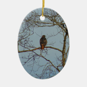 Red Tailed Hawk Keramisch Ornament
