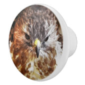 RED TAILED HAWK KERAMISCHE KNOP (Rechts)