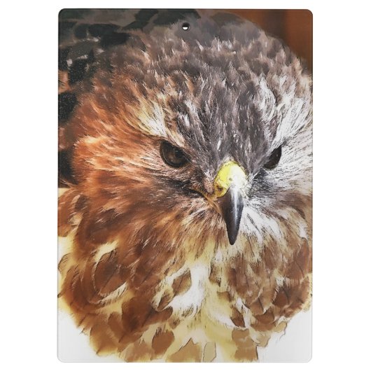 RED TAILED HAWK KLEMBORD (Achterkant)