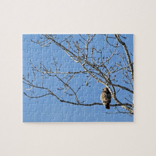 Red Tailed Hawk Legpuzzel (Horizontaal)