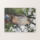 Red-Tailed Hawk Legpuzzel (Horizontaal)