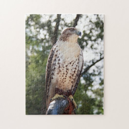 Red-Tailed Hawk Legpuzzel (Verticaal)