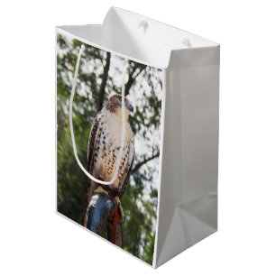 Red-Tailed Hawk Medium Cadeauzakje