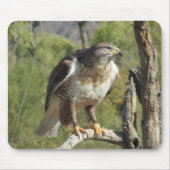 Red Tailed Hawk Mousepad Muismat (Voorkant)