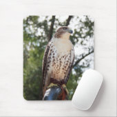 Red-Tailed Hawk Muismat (Met muis)