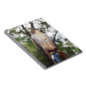 Red-Tailed Hawk Notitieboek (Rechterzijde)