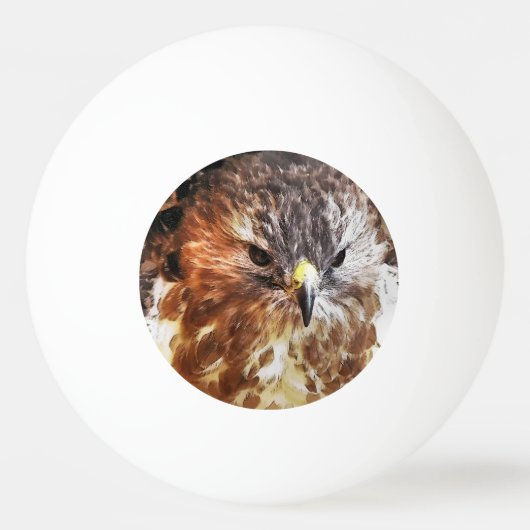 RED TAILED HAWK PINGPONGBALLEN (Achterkant)