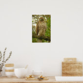 Red Tailed Hawk Poster (Keuken)