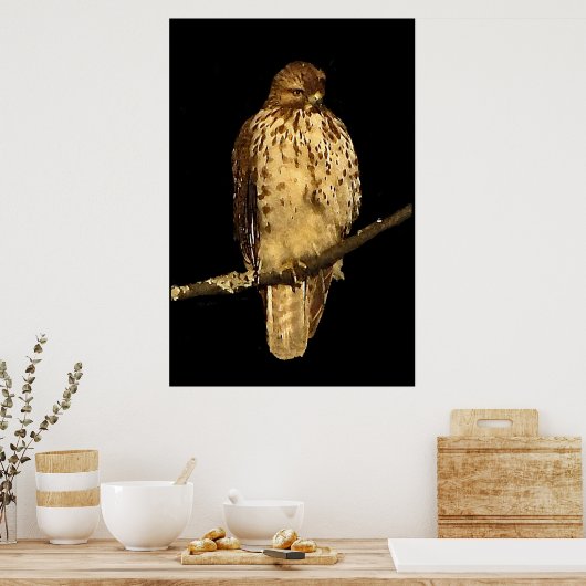 Red tailed Hawk Poster (Keuken)