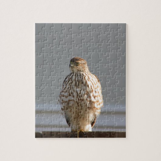 Red Tailed Hawk puzzel Legpuzzel (Verticaal)
