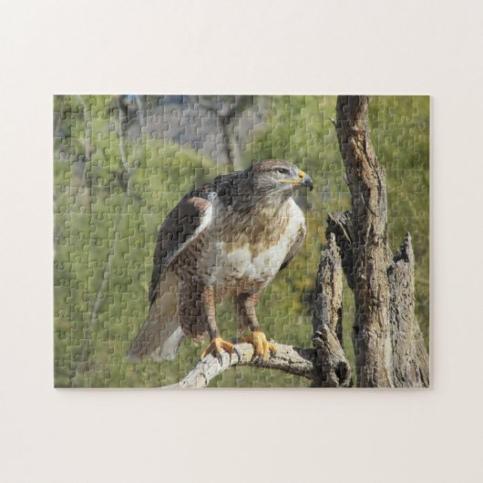 Red Tailed Hawk Puzzle Legpuzzel (Horizontaal)