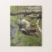 Red Tailed Hawk Puzzle Legpuzzel (Verticaal)