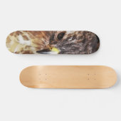 RED TAILED HAWK SKATEBOARD (Horizontaal)