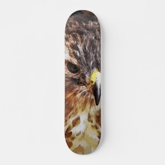 RED TAILED HAWK SKATEBOARD (Voorkant)