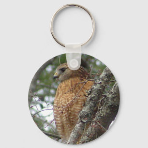 Red Tailed Hawk Sleutelhanger