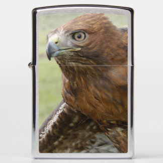 RED TAILED HAWK ZIPPO LIGHTER