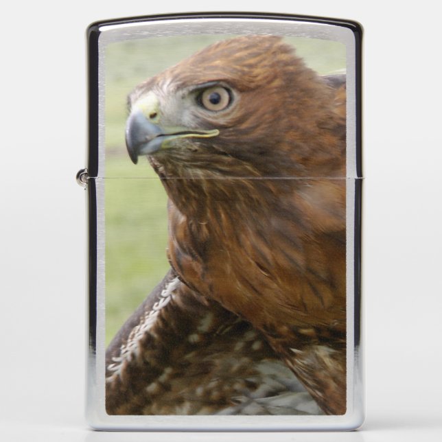 RED TAILED HAWK ZIPPO LIGHTER (Voorkant)