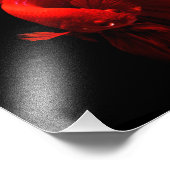 Red Tailing Fish Cntr Foto Afdruk (Hoek)