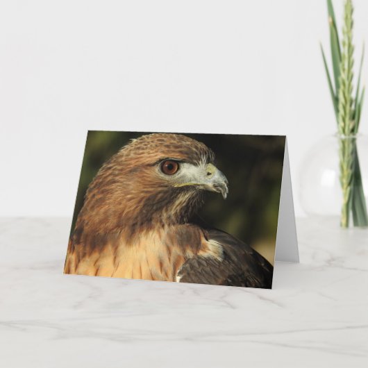 Red Taily Hawk Notecard Kaart (Voorkant)