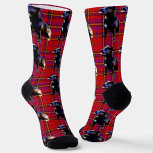 Red Tartan Staffordshire Bull Terrier, Crew Sokken