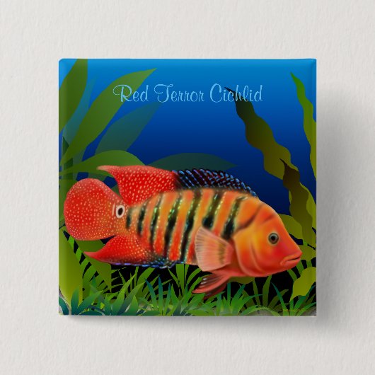 Red Terror Festae Cichlid Pin Vierkante Button 5,1 Cm (Voorkant)