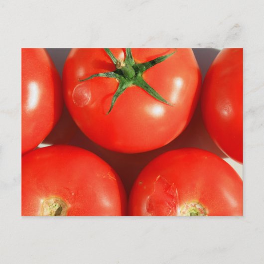 Red Tomatoes briefkaart (Voorkant)