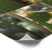 Red Torch Cactus Poster (Hoek)