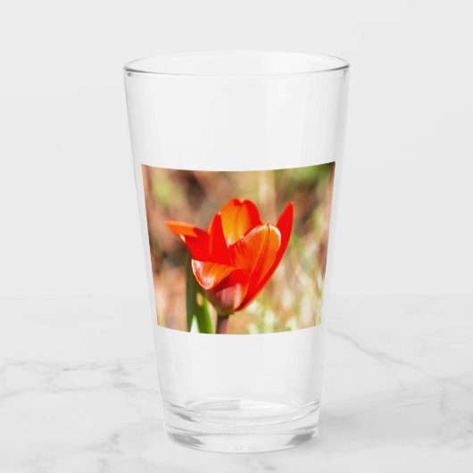Red Tulip Blossom Glas (Voorkant)