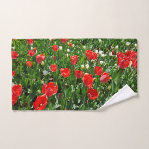 Red Tulip Flower Field Nature Photographie