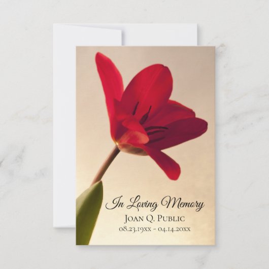 Red Tulip Flower Spring Begrafenis Memorial Sympat Bedankkaart (Voorkant)
