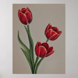 Red Tulip Flowers Poster