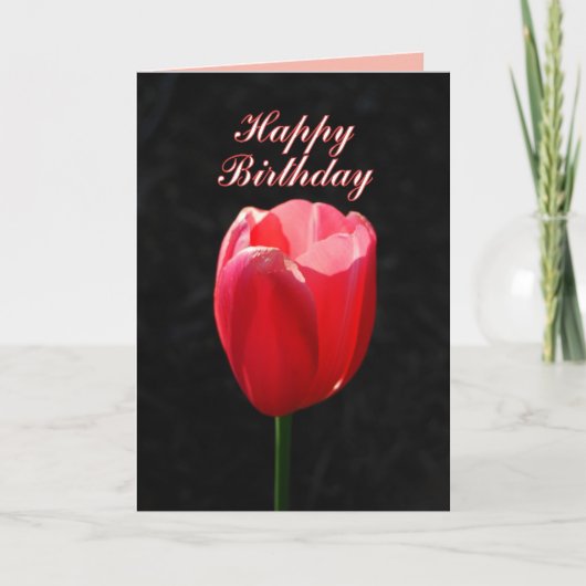 Red Tulip Happy Birthday Kaart (Voorkant)