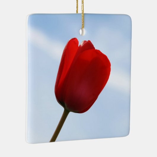 Red Tulip Ornament (Rechts)