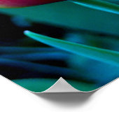 Red Tulip Poster (Hoek)